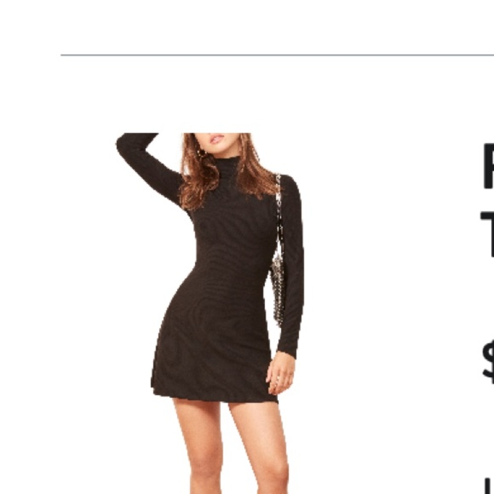 Reformation Maya Turtleneck Dress